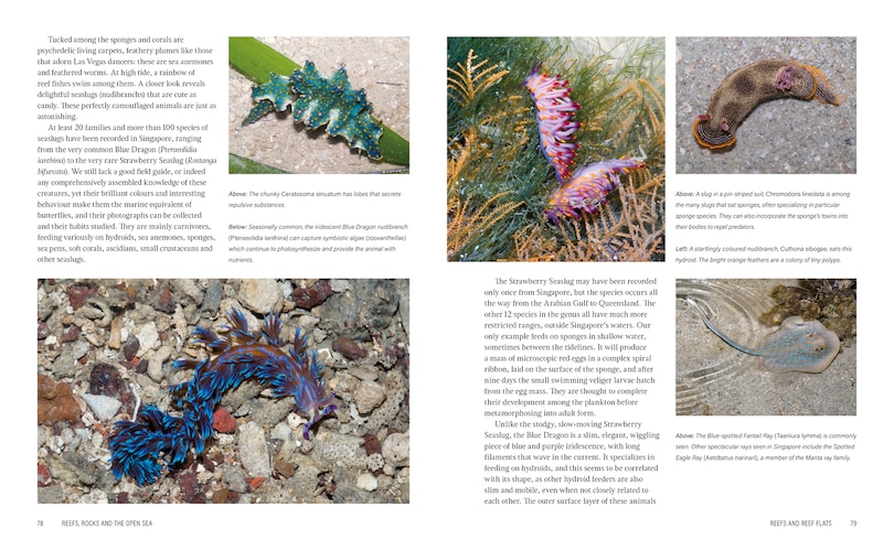 Aper&ccedil;u du contenu 3_Wild Singapore