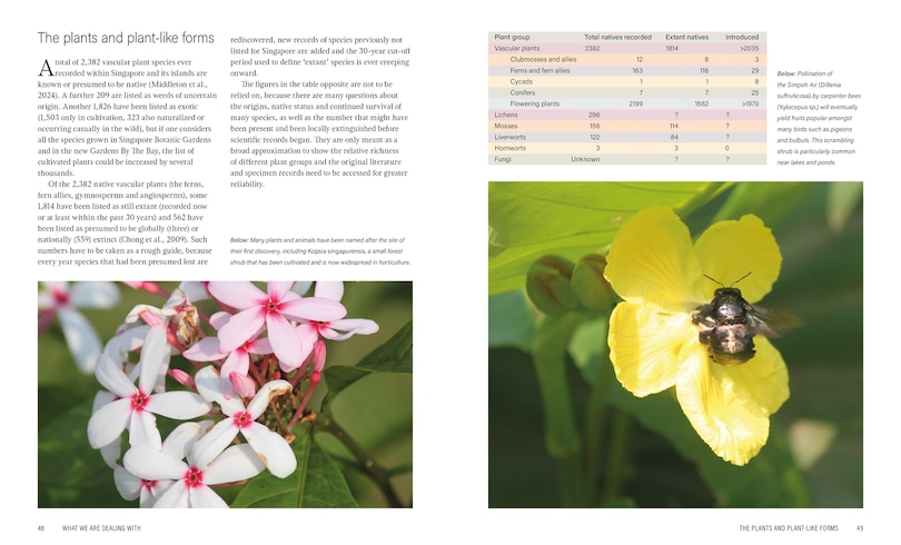 Aper&ccedil;u du contenu 4_Wild Singapore