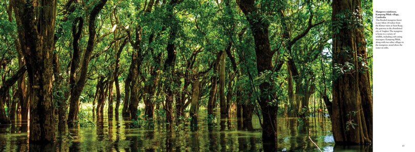 Aper&ccedil;u du contenu 2_WILD