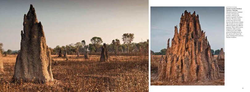 Aper&ccedil;u du contenu 4_WILD