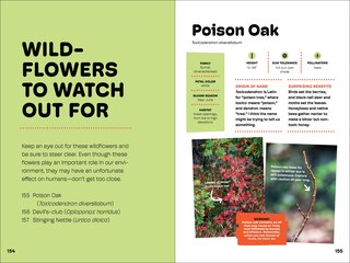 Sample content_Wildflowers of the Pacific Northwest For Kids
