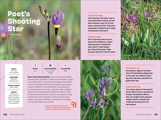 Sample content 2_Wildflowers of the Pacific Northwest For Kids