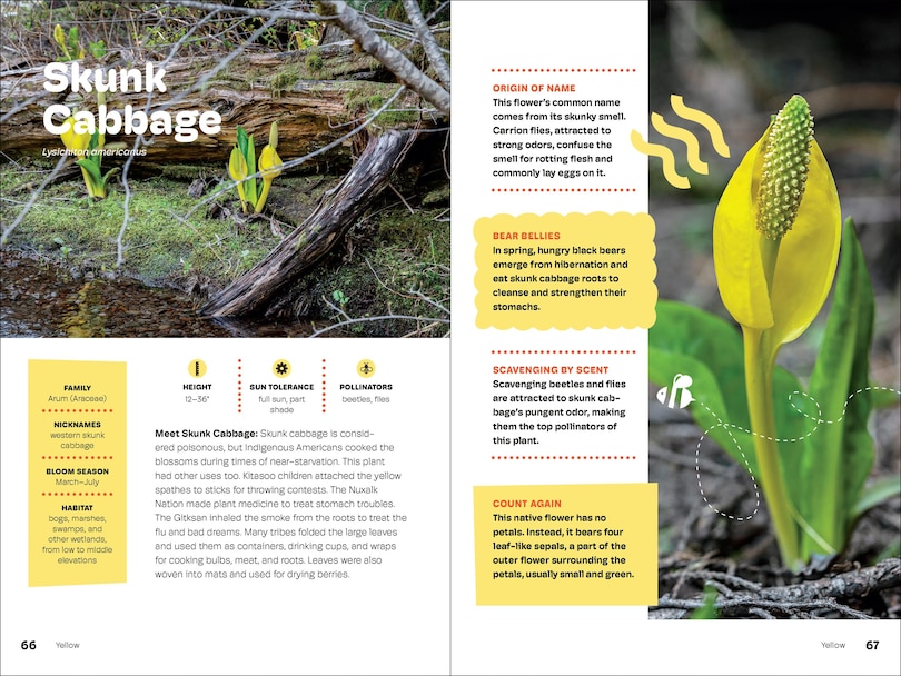 Sample content 3_Wildflowers of the Pacific Northwest For Kids