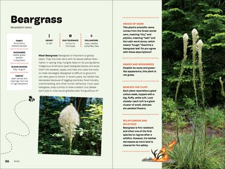 Sample content 4_Wildflowers of the Pacific Northwest For Kids