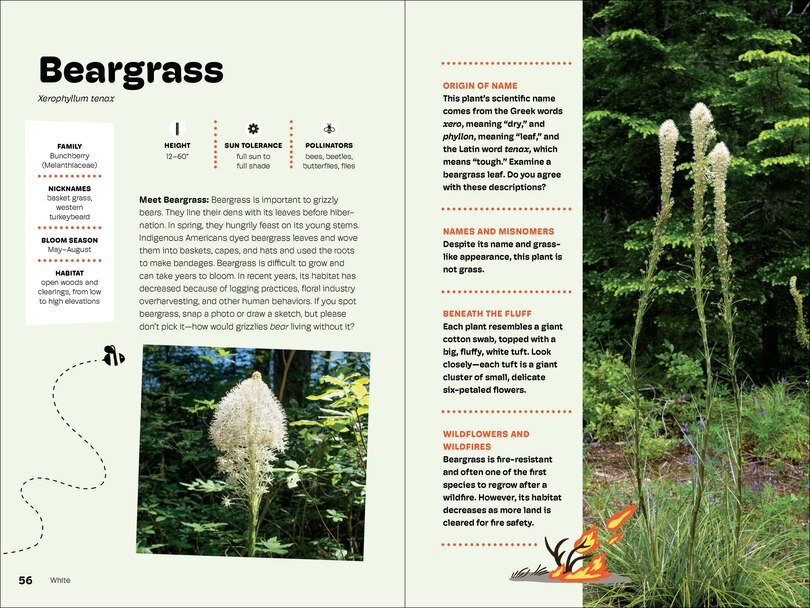 Sample content 4_Wildflowers of the Pacific Northwest For Kids