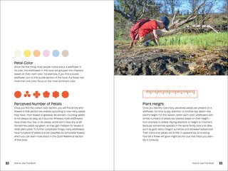 Sample content 5_Wildflowers of the Pacific Northwest For Kids