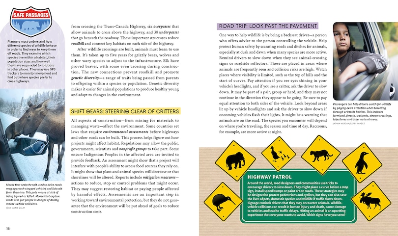 Sample content 4_Wildlife Crossing