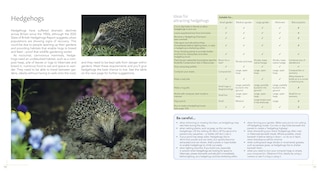 Sample content_Wildlife Gardening For Everyone and Everything