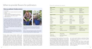 Sample content 3_Wildlife Gardening For Everyone and Everything