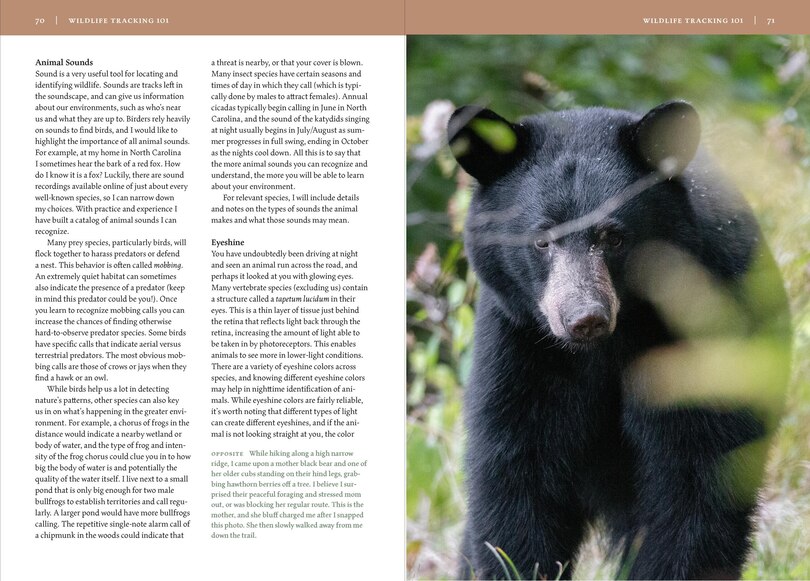 Sample content_Wildlife of the Southeast