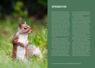 Sample content 2_Wildlife of the Southeast