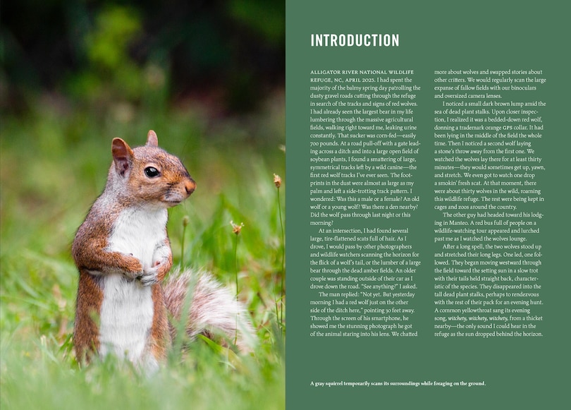Sample content 2_Wildlife of the Southeast