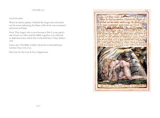 Aper&ccedil;u du contenu_William Blake: Marriage of Heaven & Hell