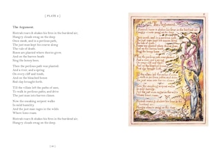 Aper&ccedil;u du contenu 3_William Blake: Marriage of Heaven & Hell