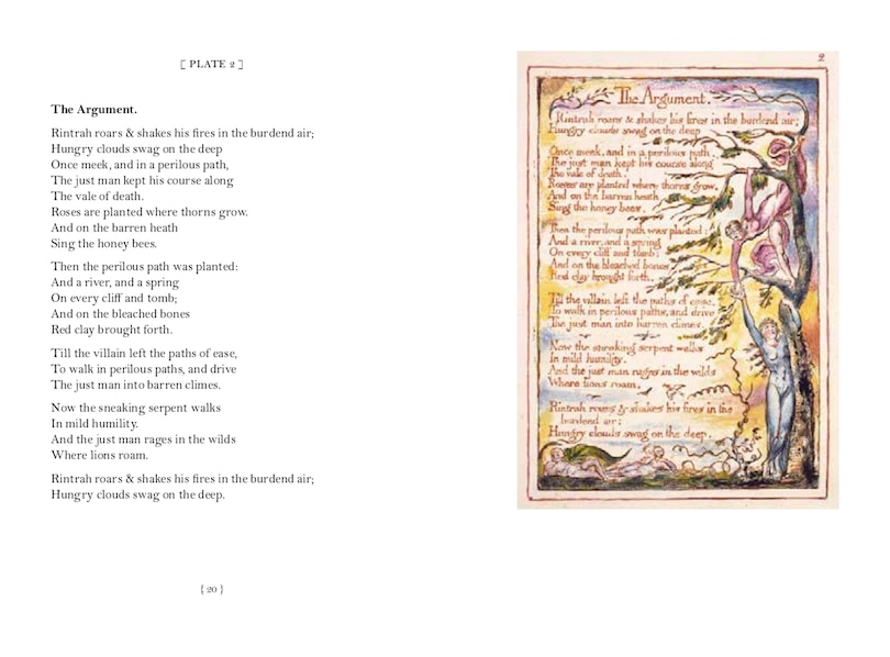Aper&ccedil;u du contenu 3_William Blake: Marriage of Heaven & Hell