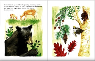 Sample content_Willow and the Storm