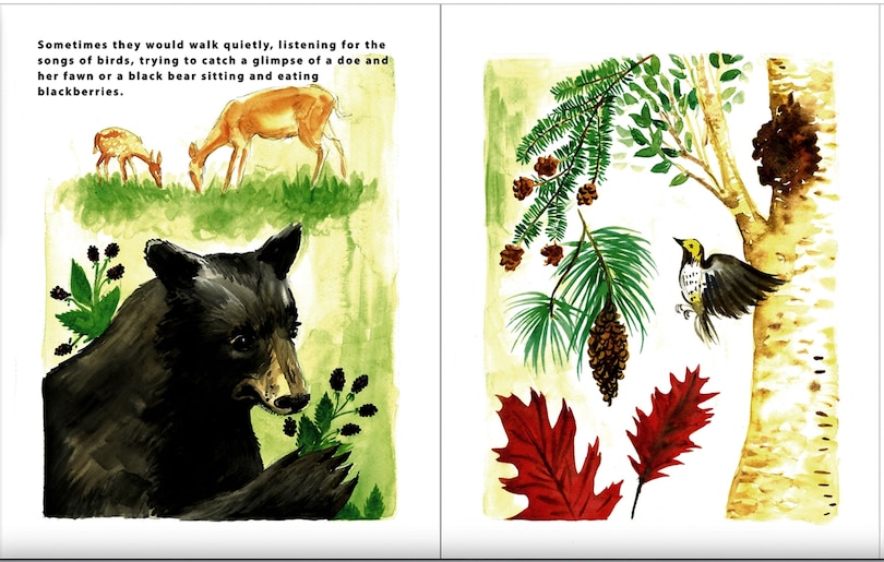 Sample content_Willow and the Storm