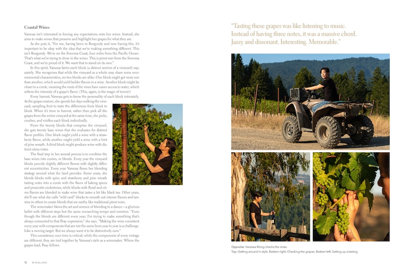 Sample content_Wineland