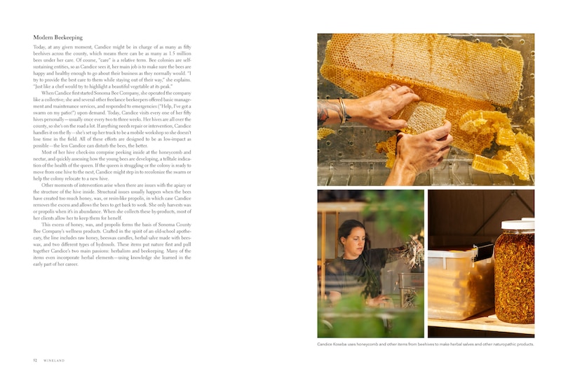 Sample content 4_Wineland