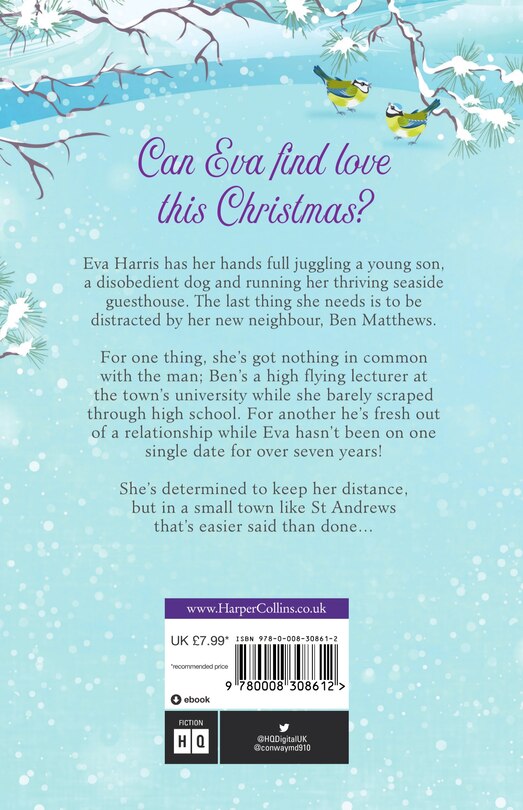 Back cover_Winter At West Sands Guest House