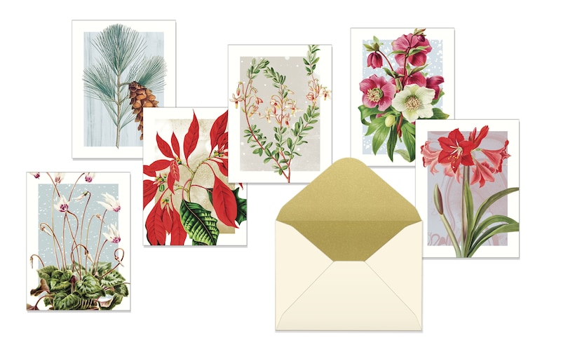 Sample content_Winter Botanicals