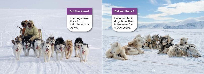 Sample content 3_Winter In Nunavut