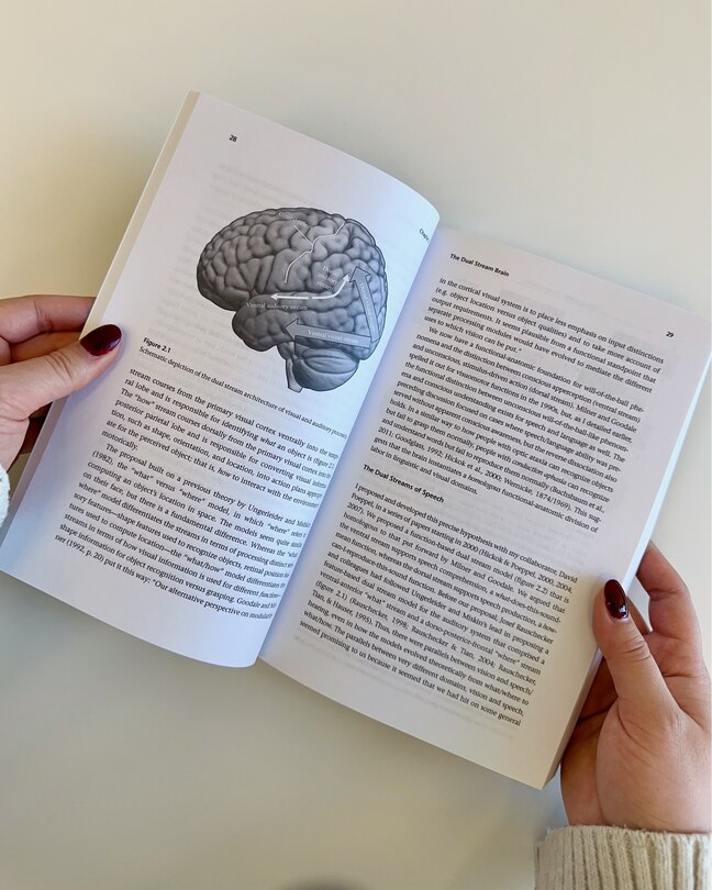 Aper&ccedil;u du contenu_Wired for Words