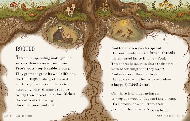 Sample content_Wisdom of the Woods