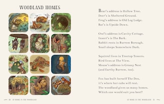 Sample content 2_Wisdom of the Woods