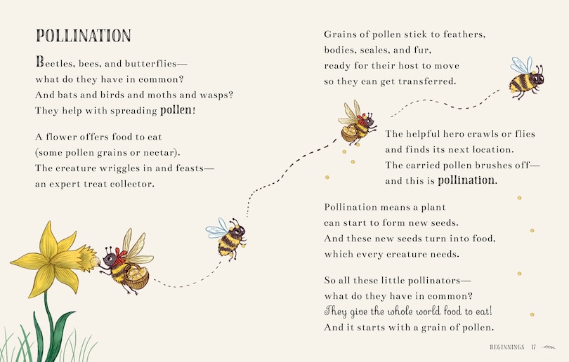 Sample content 4_Wisdom of the Woods