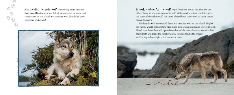 Sample content 3_Wolf Island