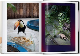 Sample content 2_Wolfgang Tillmans. four books. 45th Ed.