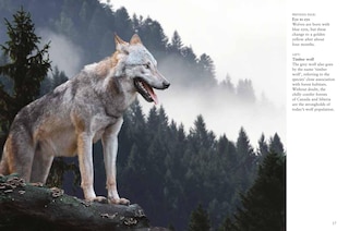 Aperçu du contenu 2_Wolves
