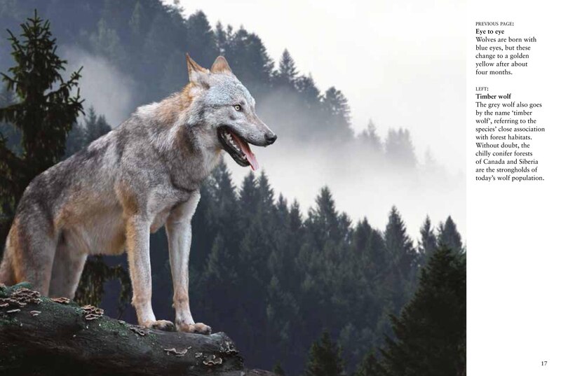 Aperçu du contenu 2_Wolves