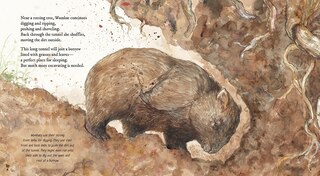 Aperçu du contenu_Wombat