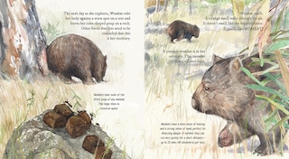 Aperçu du contenu 2_Wombat