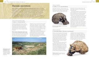 Aper&ccedil;u du contenu 5_World History