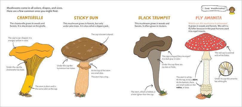 Sample content_World of Mushrooms