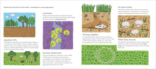 Sample content 2_World of Mushrooms