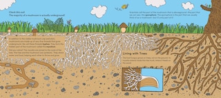 Sample content 4_World of Mushrooms