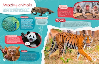 Aper&ccedil;u du contenu_World Tour