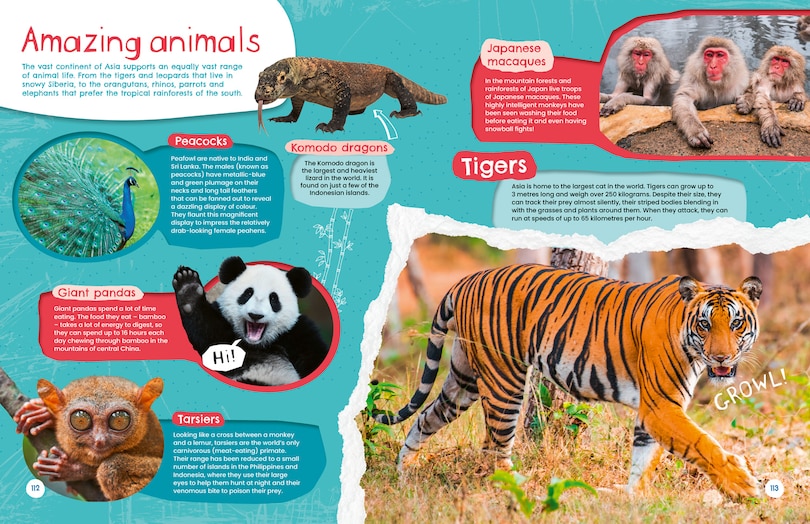 Aper&ccedil;u du contenu_World Tour