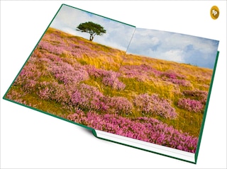 Aper&ccedil;u du contenu 4_Wuthering Heights (Deluxe Hardbound Edition)