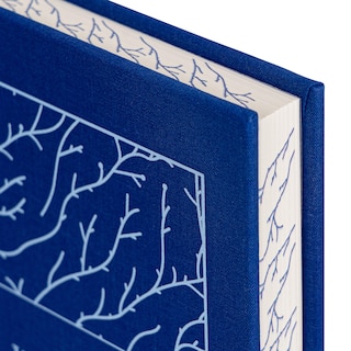 Aperçu du contenu 2_Wuthering Heights