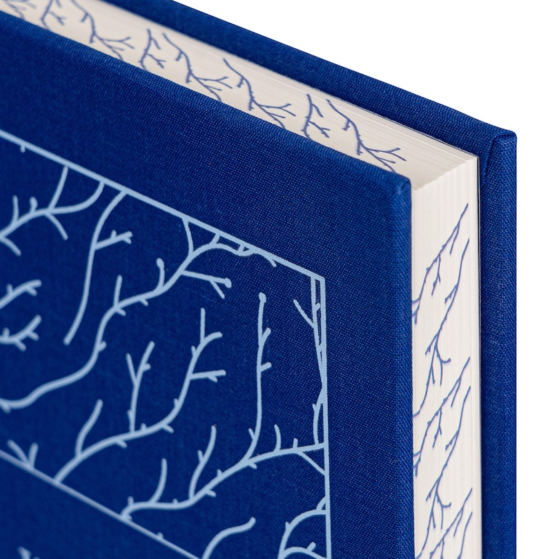 Aperçu du contenu 2_Wuthering Heights