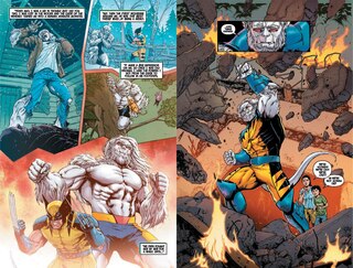 Sample content_X-Men: Age Of Revelation - Book Of Revelation