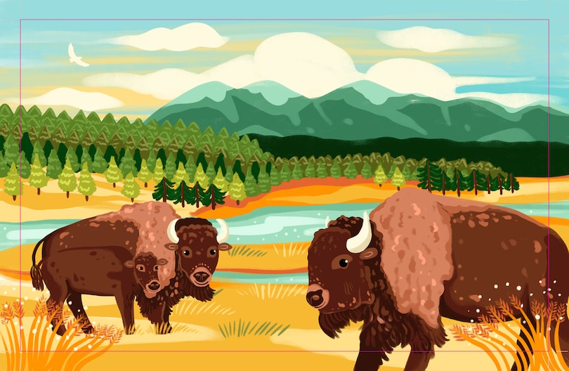 Aper&ccedil;u du contenu_Yellowstone National Park