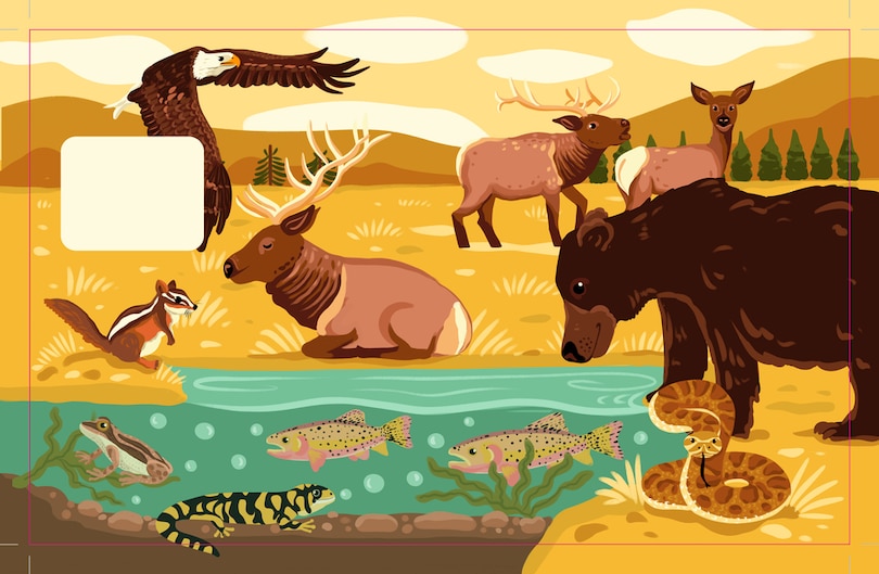 Aper&ccedil;u du contenu 4_Yellowstone National Park