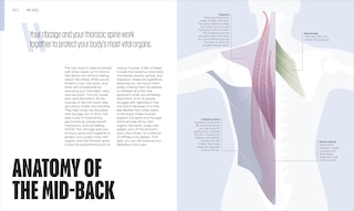 Sample content 4_Yoga Fix
