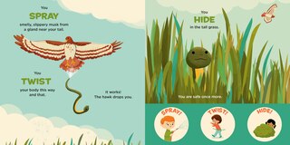 Sample content_You Are a Garter Snake!